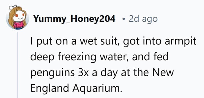 dream jobs, job satisfaction, career stories, ideal jobs, perfect jobs, work happiness, job fulfillment, job anecdotes, work experiences