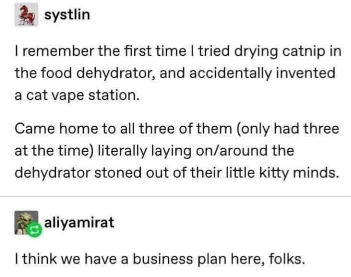 remember the first time I tried drying catnip in the food dehydrator, and accidentally invented a cat vape station. Came home to all three of them (only had three at the time) literally laying on/around the dehydrator stoned out of their little kitty minds.