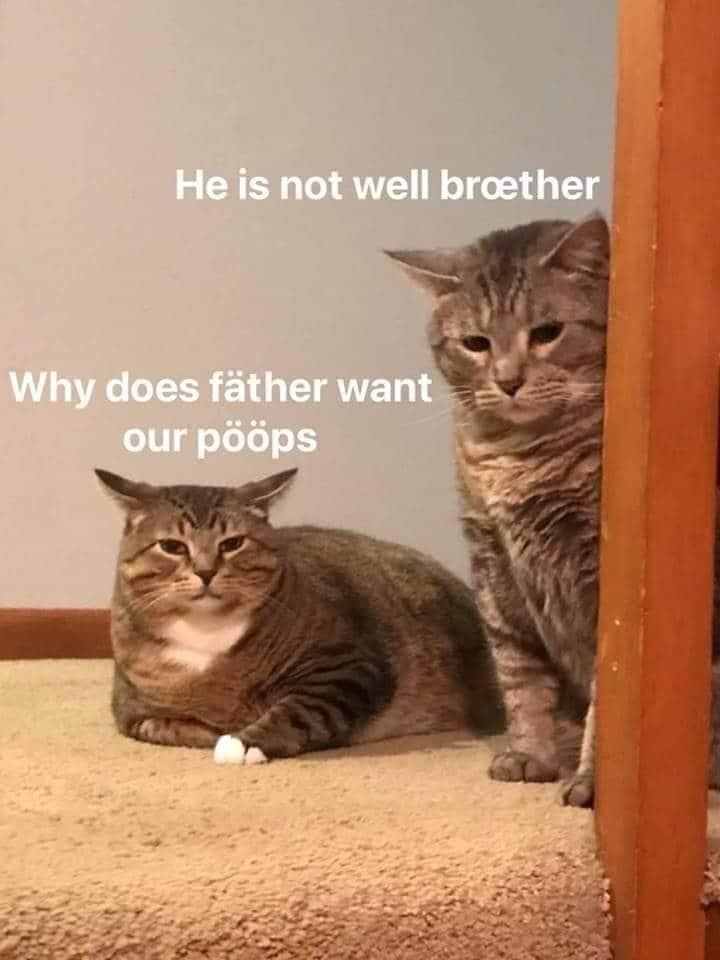 classic memes, vintage memes, viral tweets, Epic Tweets, Legendary Tweets, Funny Throwbacks, Hilarious Nostalgia, Amusing Internet History, Timeless Online Humor, Classic Internet Jokes, Iconic Meme References