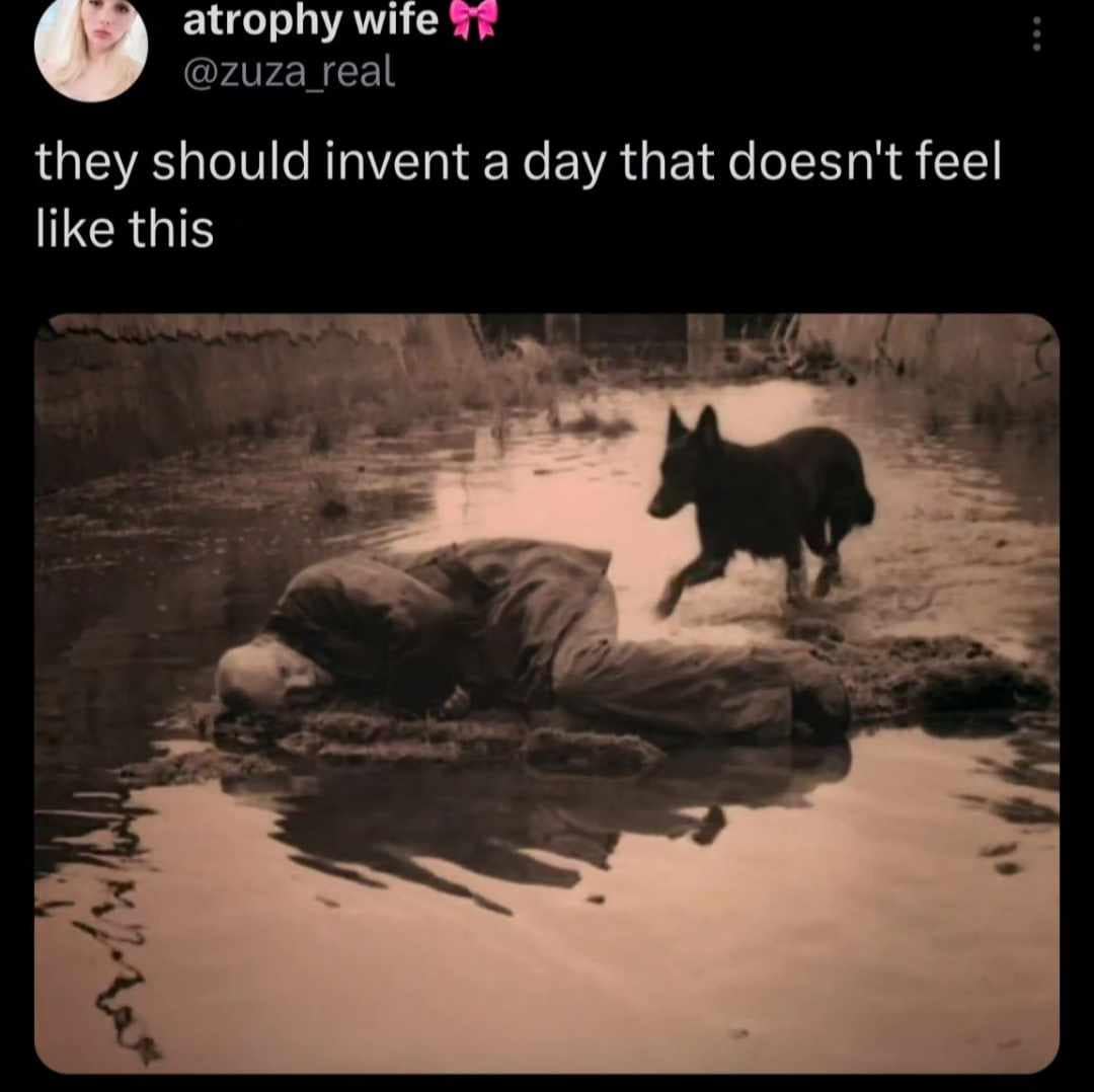 classic memes, vintage memes, viral tweets, Viral Tweet Nostalgia, Iconic Internet Moments, Throwback Social Media, Online Jokes, Timeless Web Humor, Bygone Social Media Trends