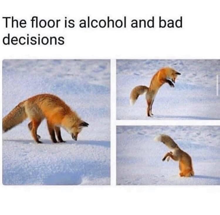 classic memes, vintage memes, viral tweets, Funny Posts, Timeless Jokes, Internet Humor, Tweet Hall of Fame, Nostalgic Laughs