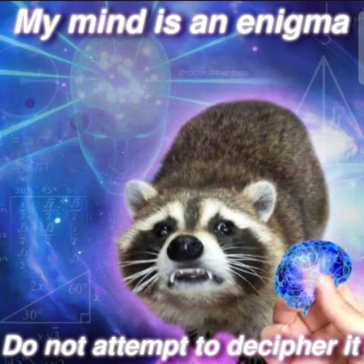 classic memes, vintage memes, viral tweets, Funny Posts, Timeless Jokes, Internet Humor, Tweet Hall of Fame, Nostalgic Laughs