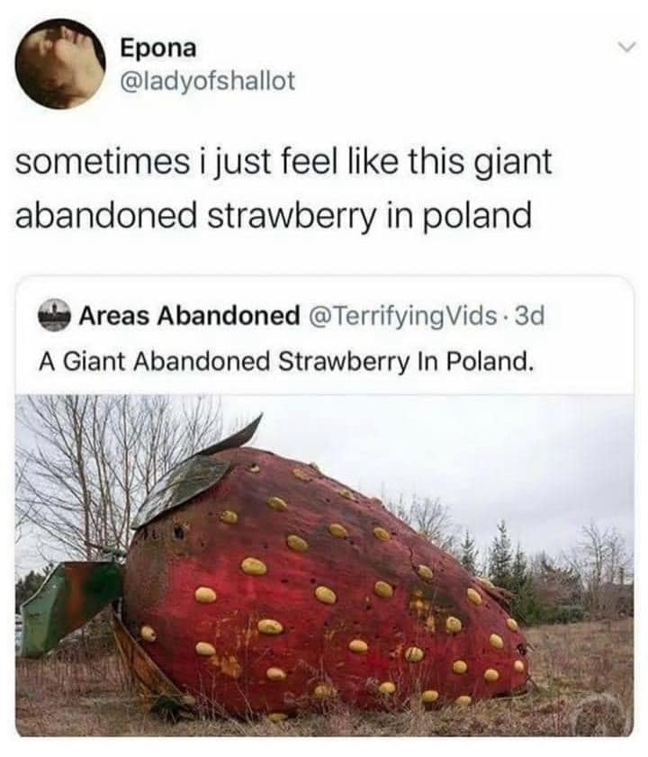 classic memes, vintage memes, viral tweets, timeless chuckles, nostalgia memes