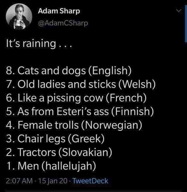 classic memes, vintage memes, viral tweets, Vintage Jokes, Legendary Tweets, Internet Antiquities