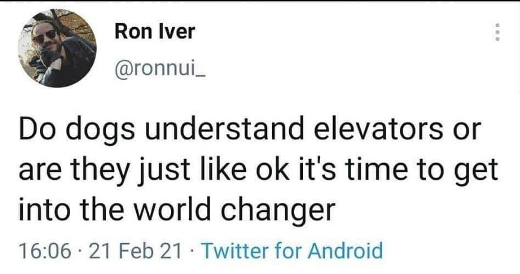 classic memes, vintage memes, viral tweets, nternet trends, meme culture, social media humor, trending content, subreddits, meme accounts