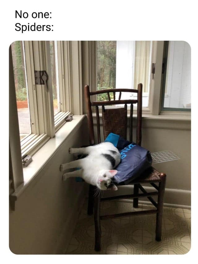 classic memes, vintage memes, viral tweets, best memes