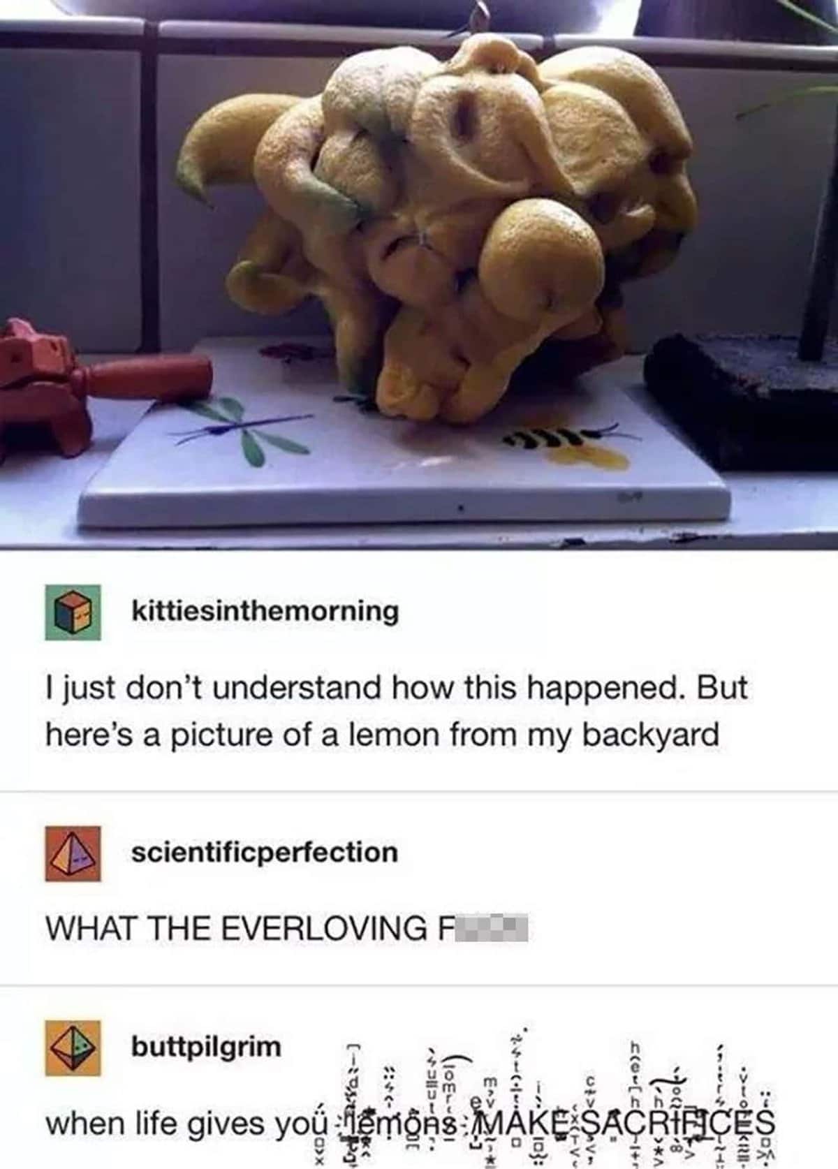 weird tweets, funny tweets, bizarre social media posts, strange tweets, peculiar tweets