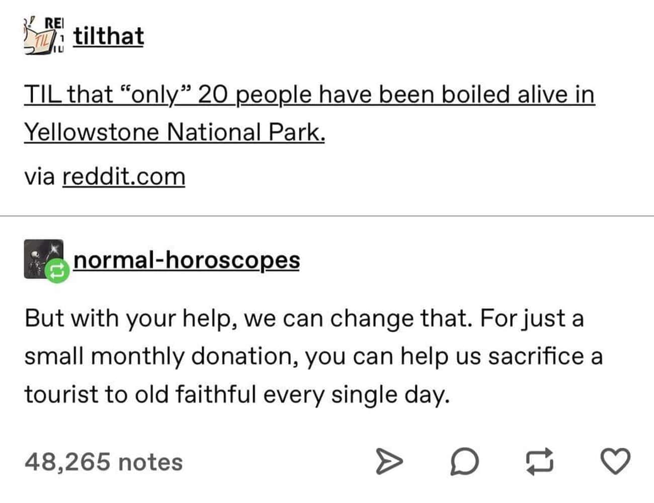 weird tweets, funny tweets, bizarre social media posts, strange tweets, peculiar tweets