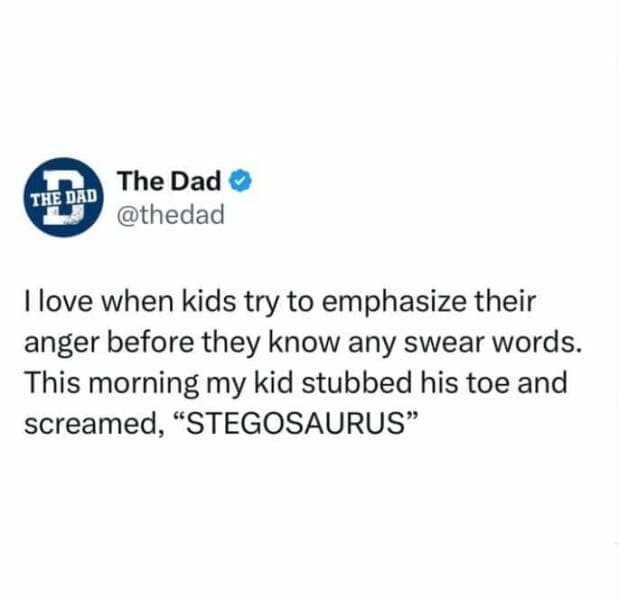 dad memes, dad jokes, father humor, cringe-worthy humor, paternal memes, papa jokes, parental humor