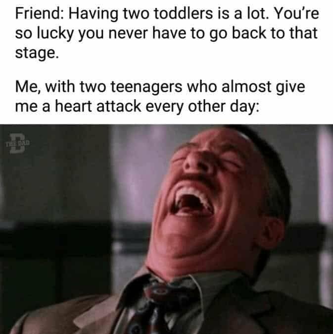 dad memes, dad jokes, father humor, cringe-worthy humor, paternal memes, papa jokes, parental humor