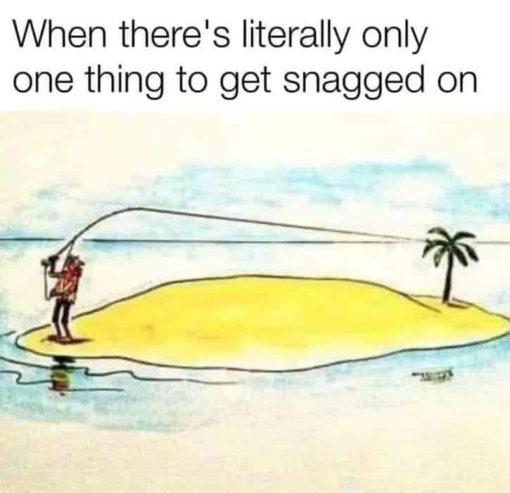 fishing memes, angler memes, summer fishing jokes, fishing humor, fishing season humor, fishing summer jokes, fishing funnies, fishing laughs