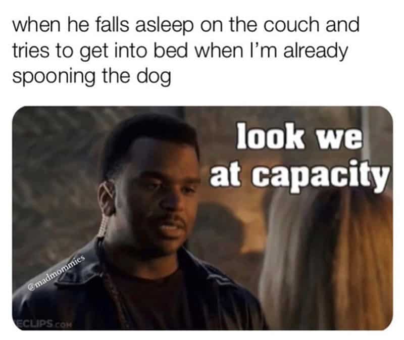flirty memes. when he falls asleep on the couch and tries to get into bed when I'm already spooning the dog look we at capacity