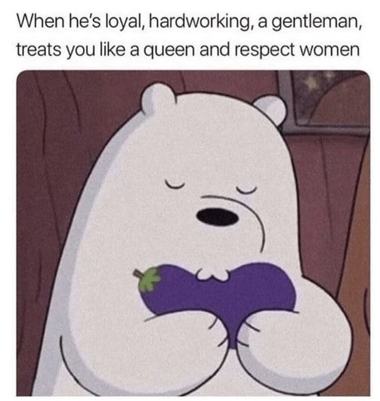 funny girlfriend memes. When he's loyal, hardworking, a gentleman, treats you like a queen and respect women