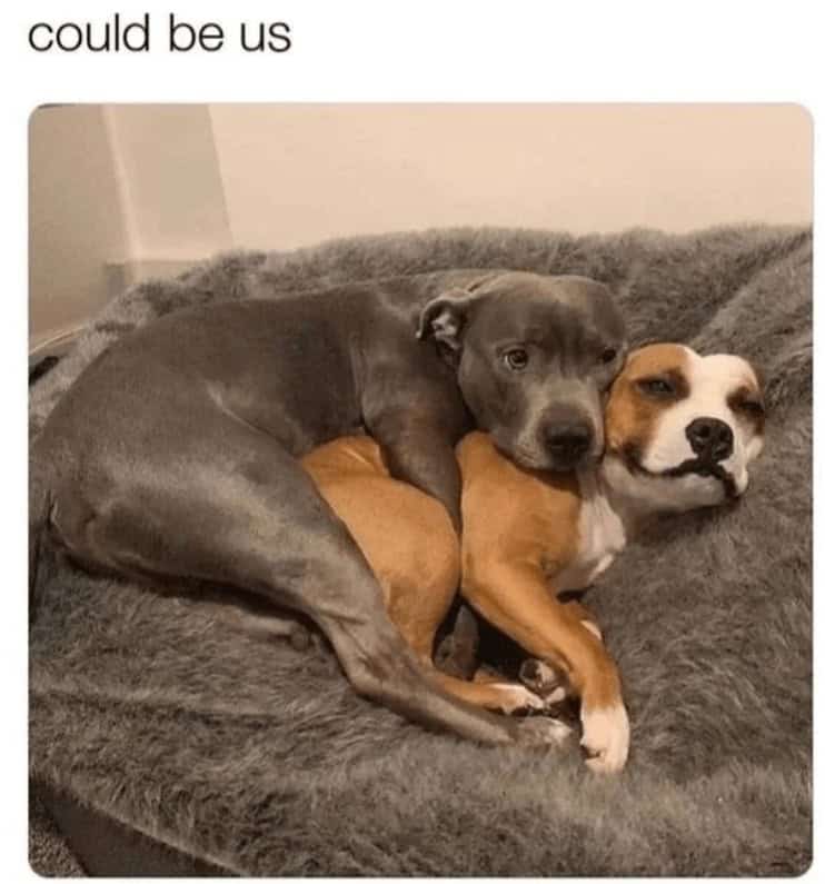 funny girlfriend memes. could be us