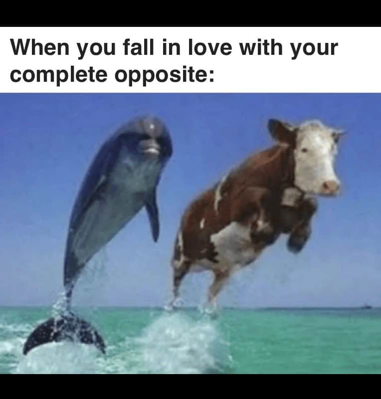 funny girlfriend memes.