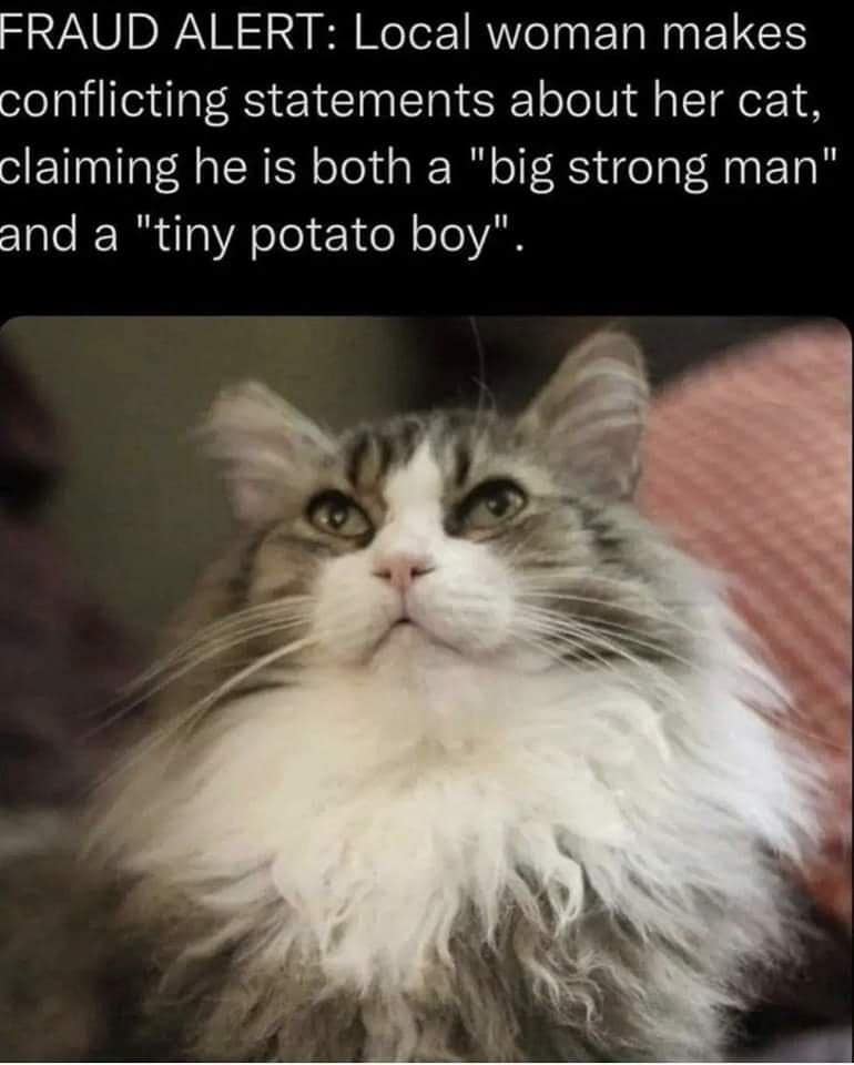 funny pics, funny memes, funny photos, funniest pics