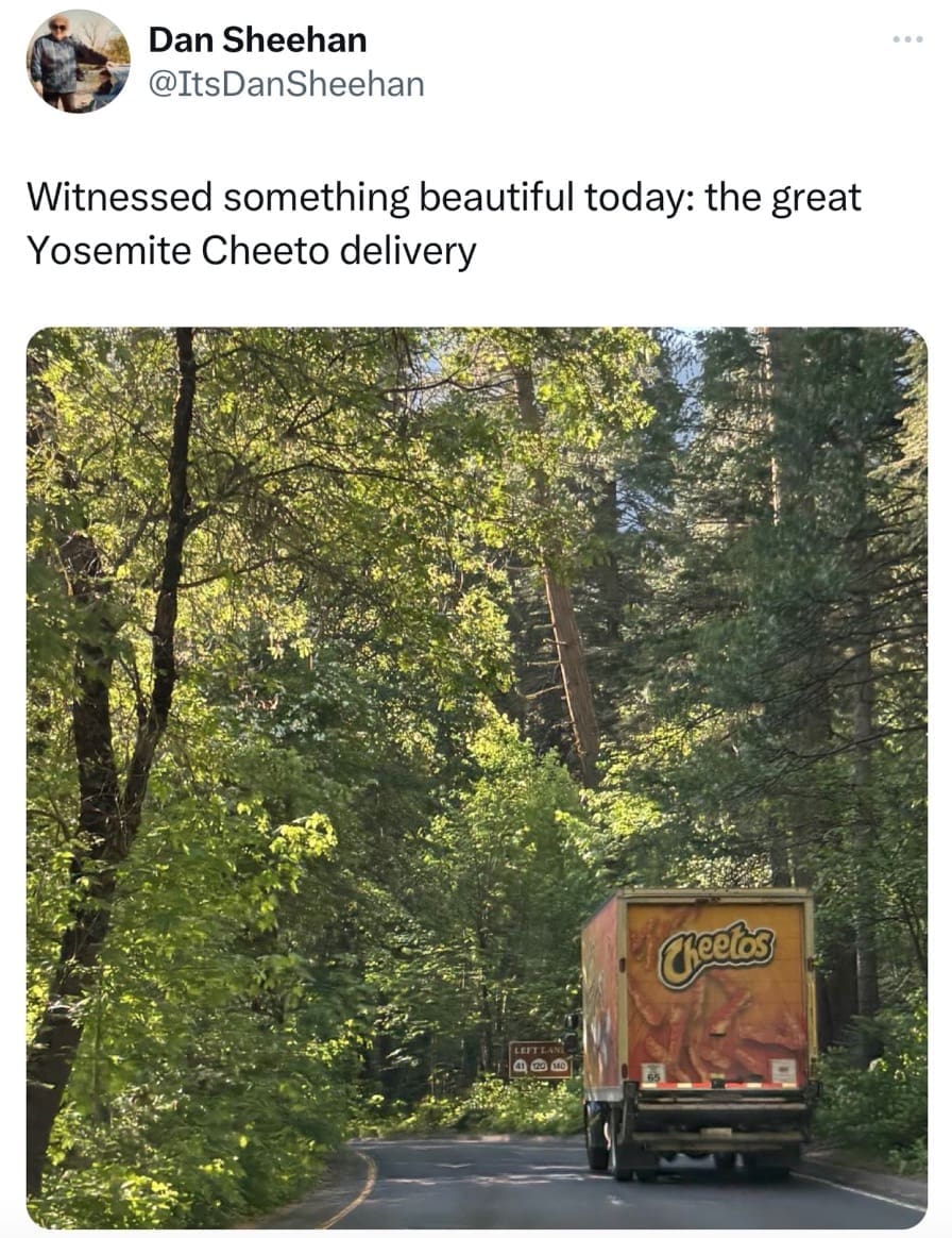 funny images, funny pics, funniest memes