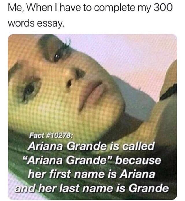 funny memes. Me, When I have to complete my 300 words essay. Fact #10278: Ariana Grande is called "Ariana Grande" because her first name is Ariana and her last name is Grande