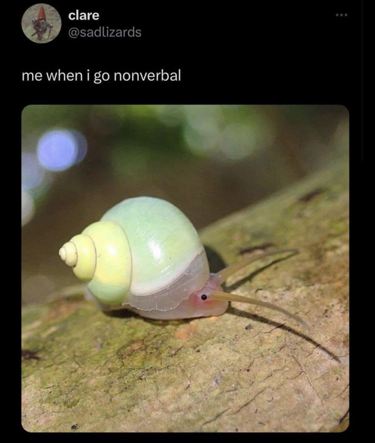 funny memes, funny images, funny pics, funniest memes