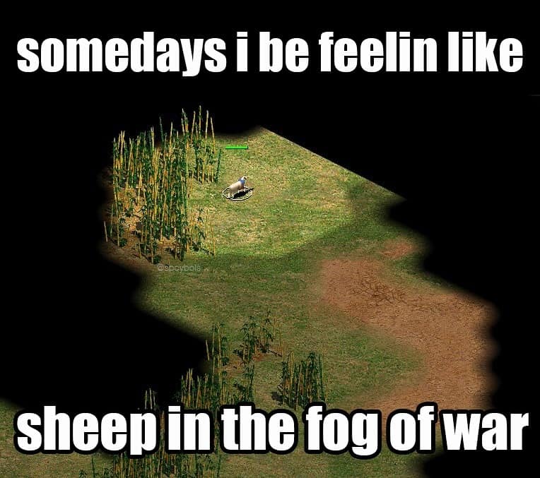 funny memes. somedays i be feelin like sheep in the fog of war