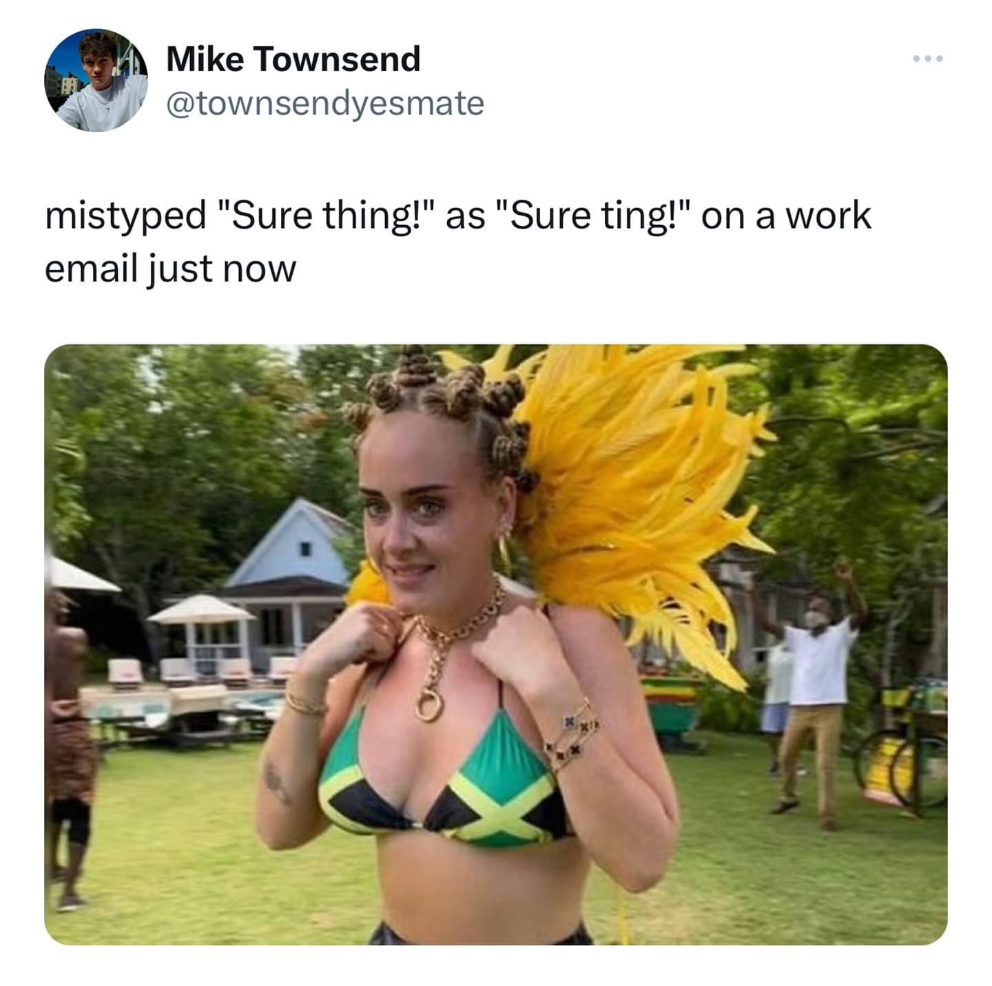 funny memes. mistyped "Sure thing!" as "Sure ting!" on a work email just now Adele