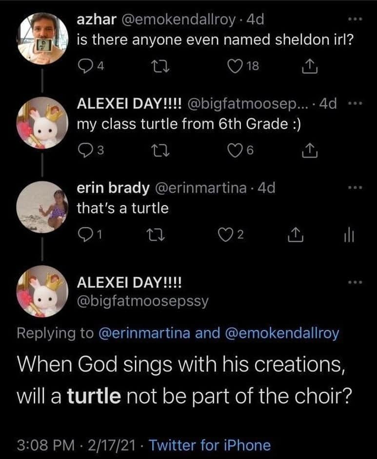 funny memes. is there anyone even named sheldon irl?