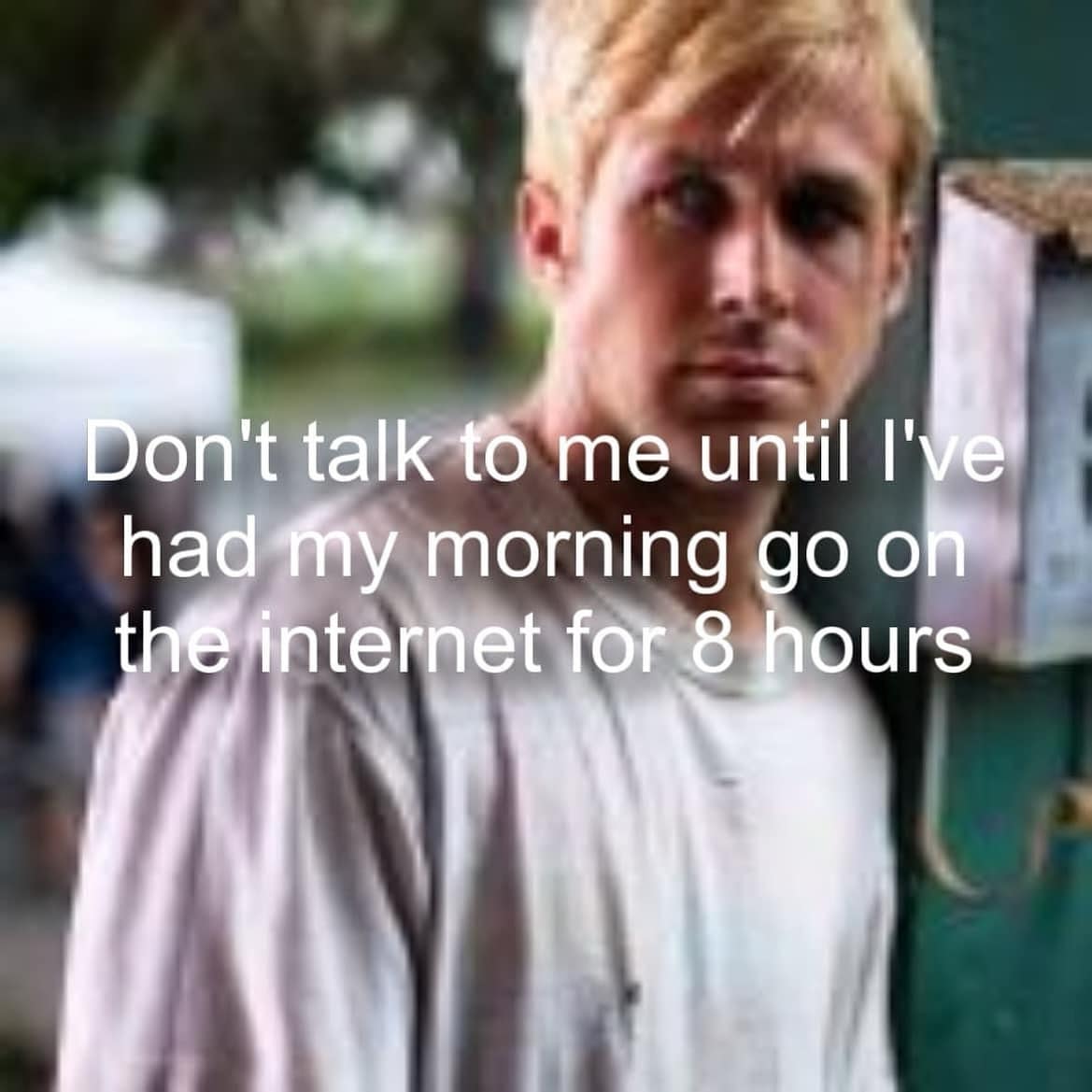 funny memes. Don't talk to me until l've had my morning go on the internet for 8 hours