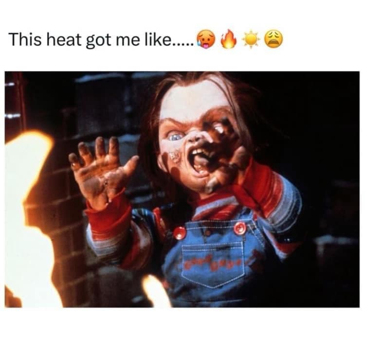 funny memes, funny images, funny pics, hilarious memes