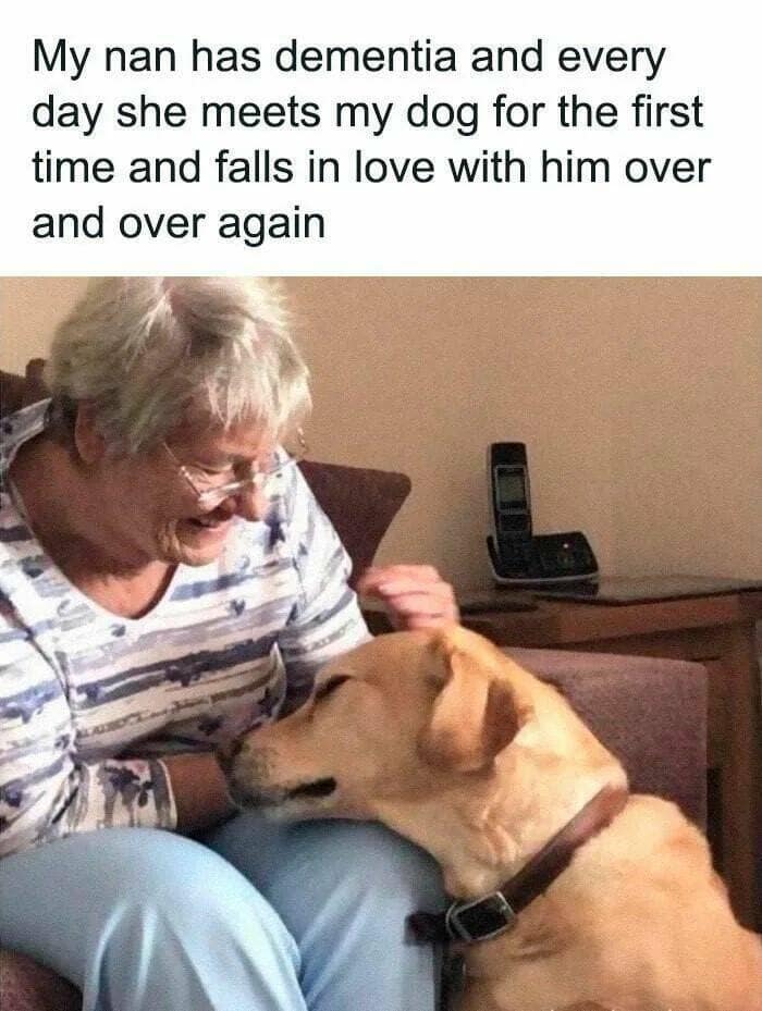funny memes. My nan has dementia and every day she meets my dog for the first time and falls in love with him over and over again
