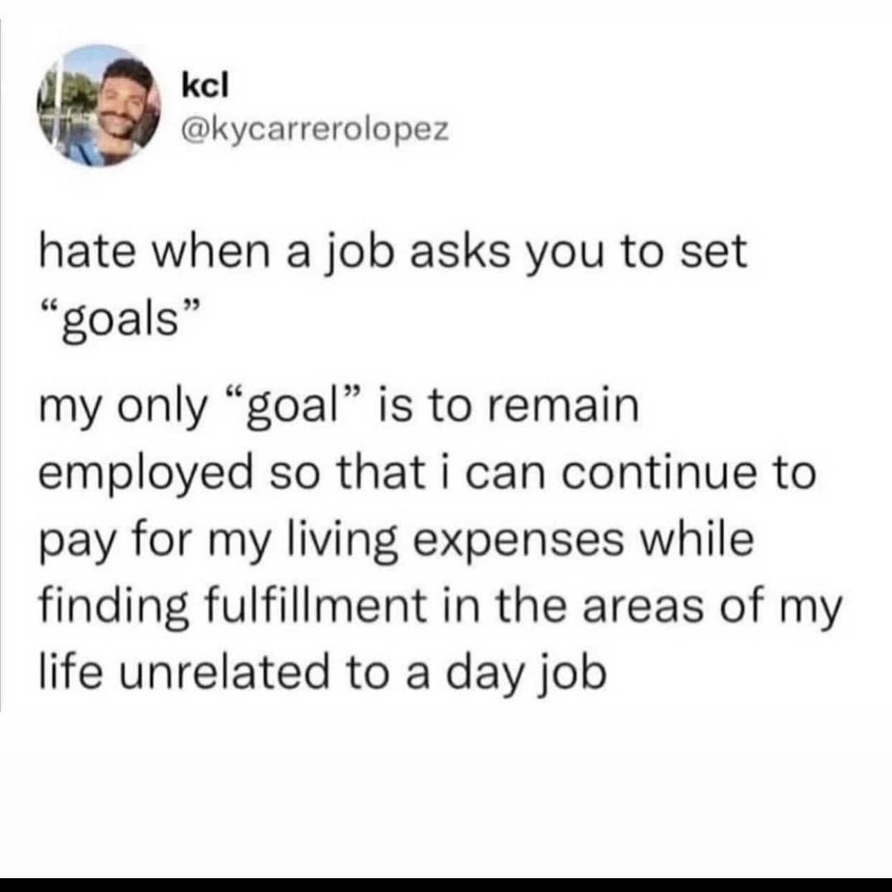 funny memes. hate when a job asks you to set "goals" my only "goal" is to remain employed so that i can continue to pay for my living expenses while finding fulfillment in the areas of my life unrelated to a day job