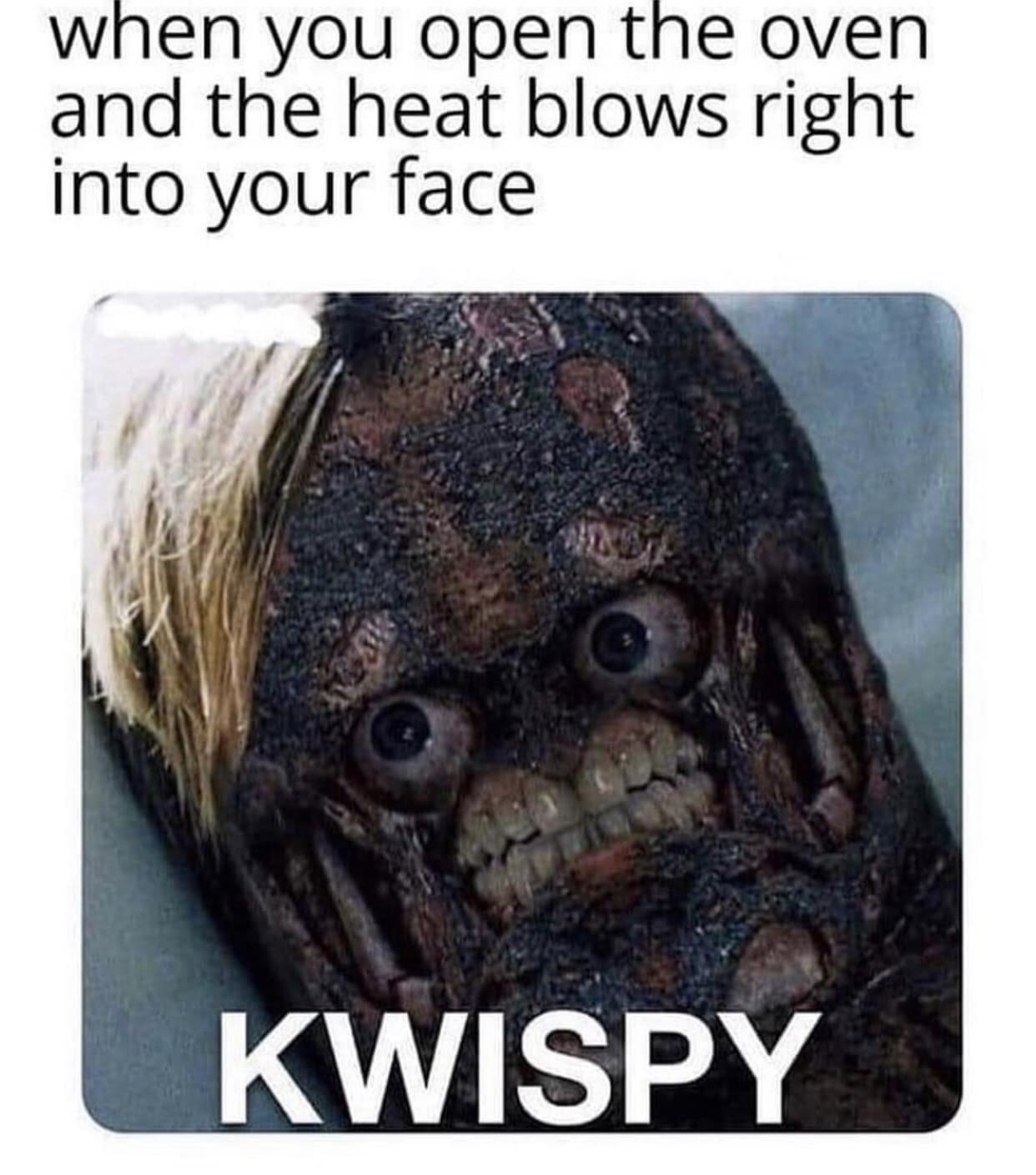 funny memes. when you open the oven and the heat blows right into your face KWISPY