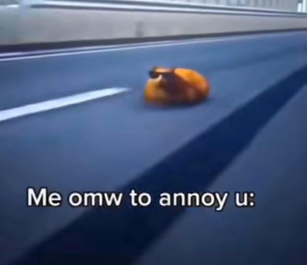 funny pics, funny memes, funny photos, funniest pics