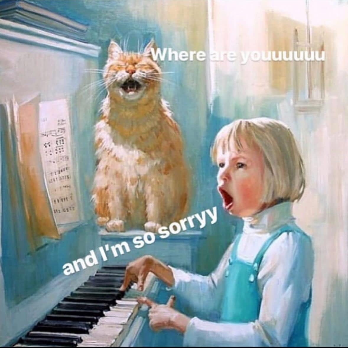 funny pics. Where are youuuuuu and I'm so sorryy