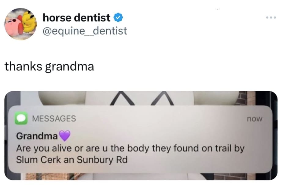 funny pics, funny memes, funny photos, funniest pics