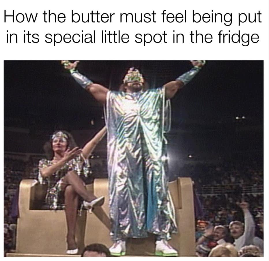 funny pics, funny memes, funny photos, funniest pics