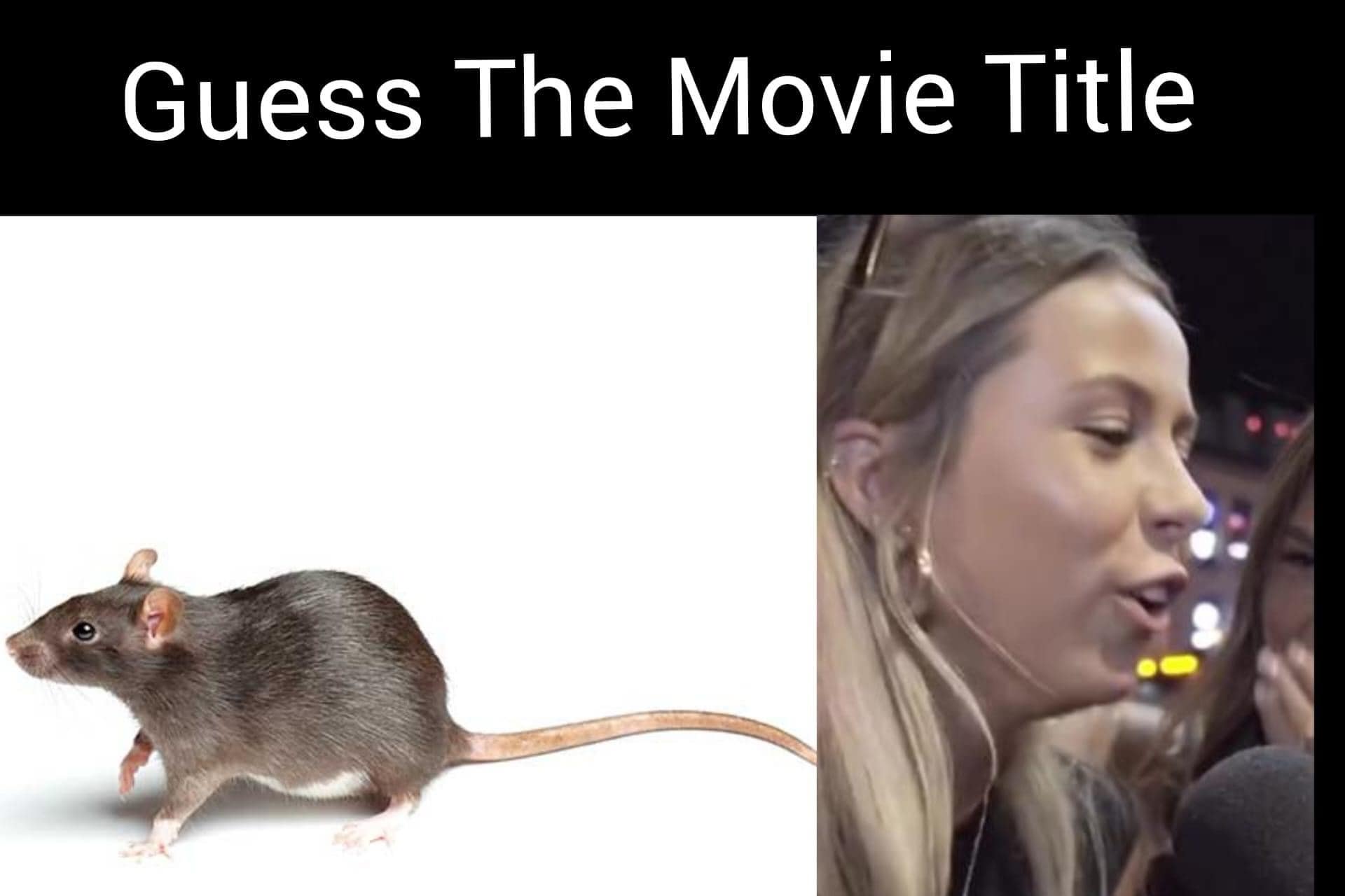 funny pics, funny memes, funny photos, funniest pics