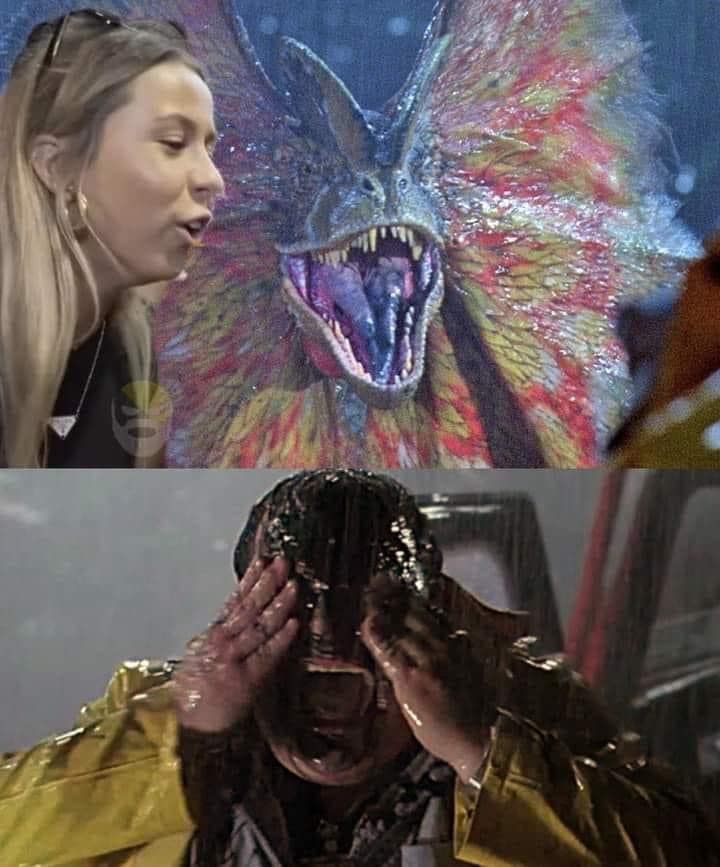 funny pics, funny memes, funny photos, funniest pics