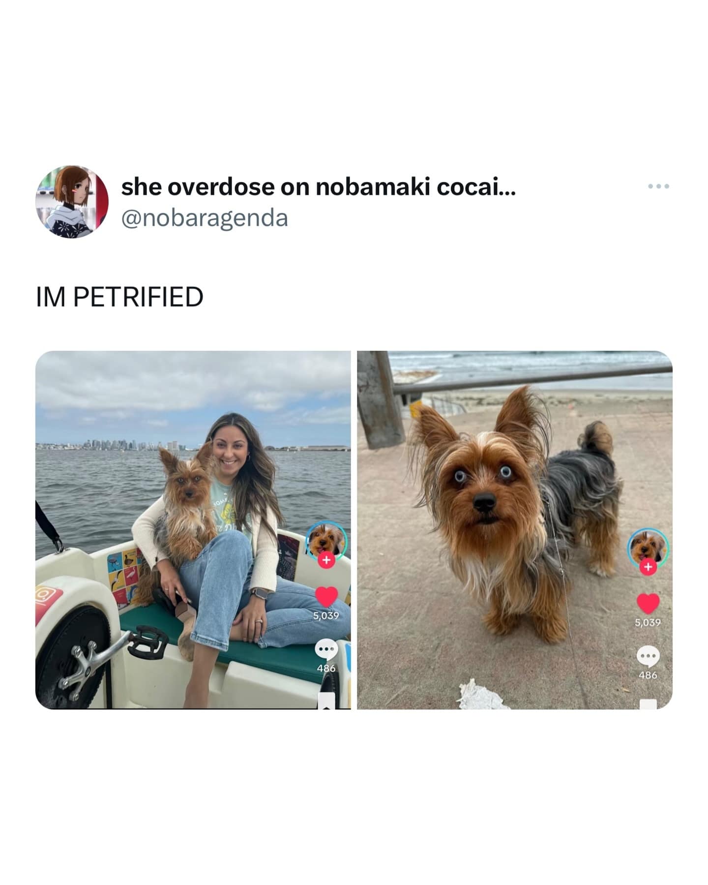 funny pics. IM PETRIFIED