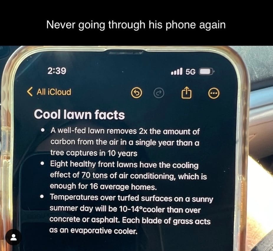 funny pics, funny memes, funny photos, funniest pics