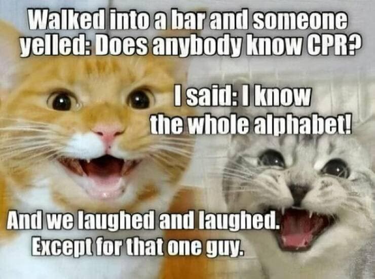 funny pun memes.