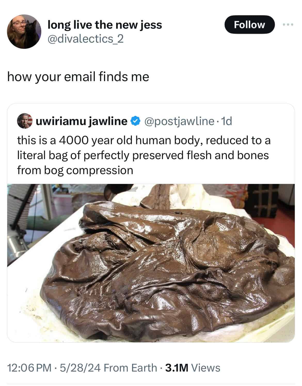 this is a 4000 year old human body, reduced to a literal bag of perfectly preserved flesh and bones from bog compression