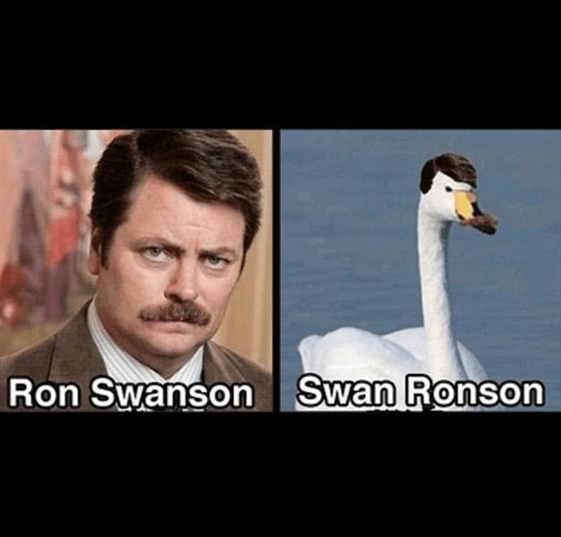 Ron Swanson Swan Ronson