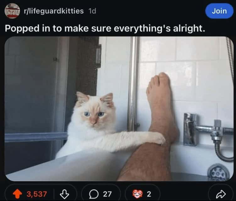 Popped in to make sure everything's alright.