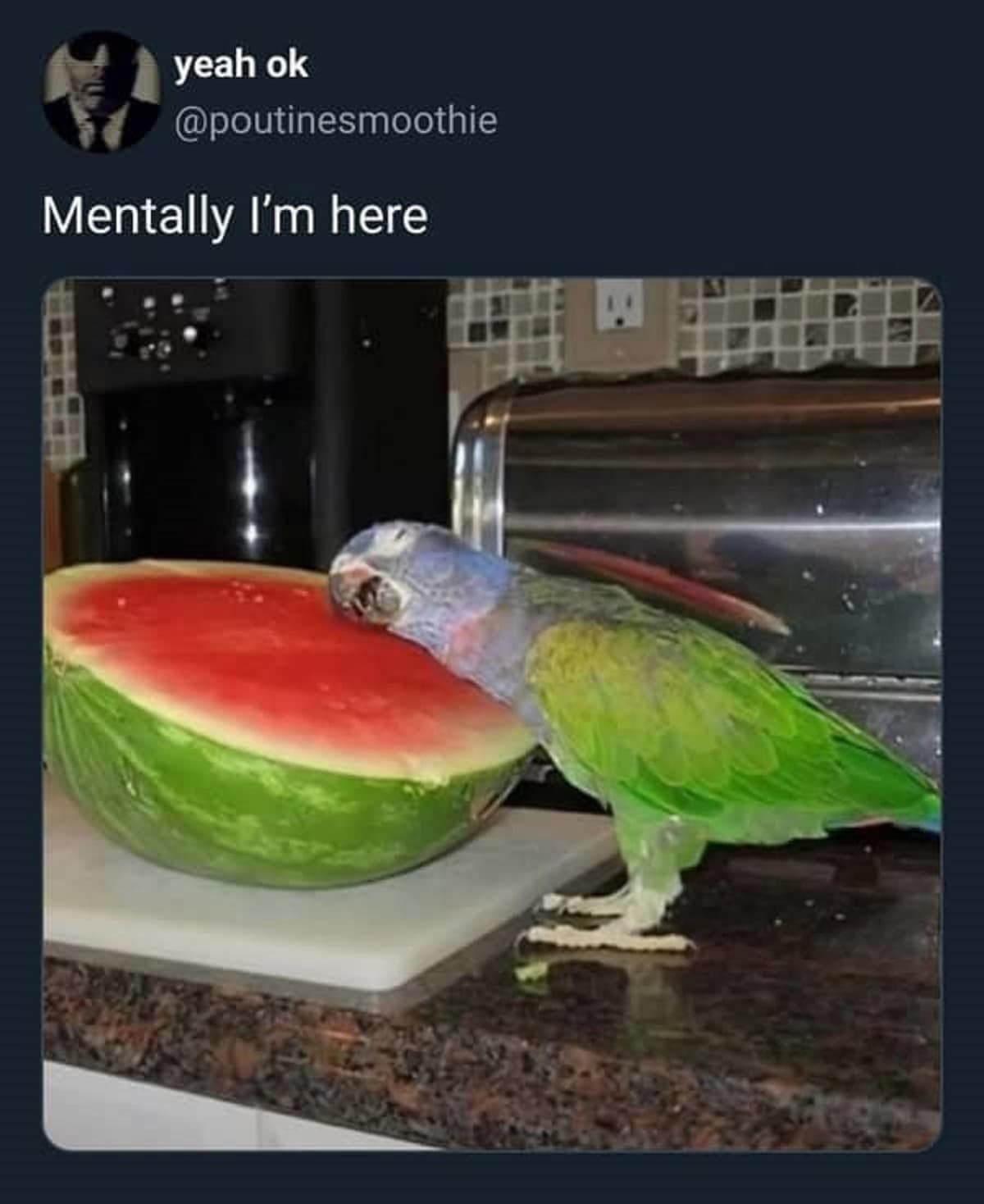 funny tweets, hilarious tweets, trending tweets, humor on Twitter, Twitter trends, side-splitting tweets, comical tweets, witty Twitter posts