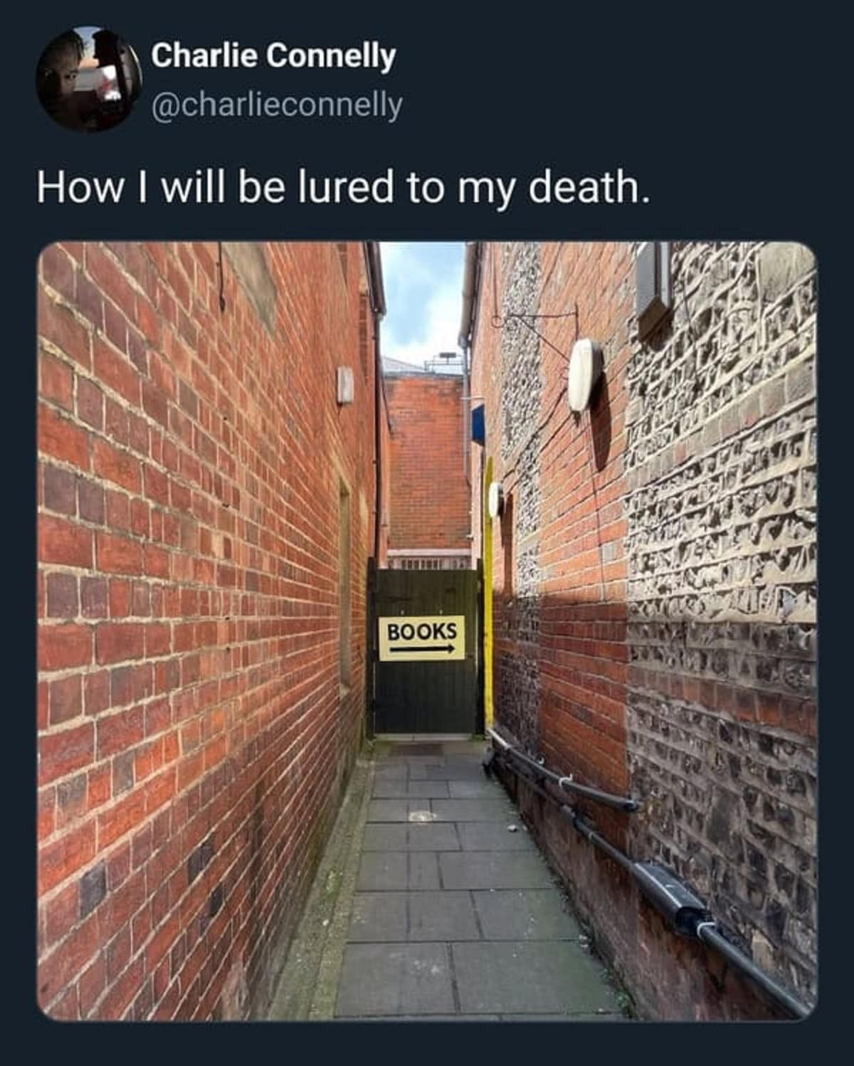 funny tweets, hilarious tweets, trending tweets, humor on Twitter, Twitter trends, side-splitting tweets, comical tweets, witty Twitter posts