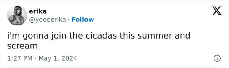 funny tweets, hilarious tweets, trending tweets, humor on Twitter, Twitter trends, side-splitting tweets, comical tweets, witty Twitter posts
