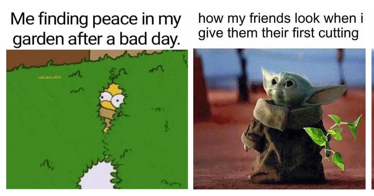 Gardening Memes 40 Memes Every Plant Lover Will Enjoy Gardening Memes 40 Memes Every Plant Lover Will Enjoy