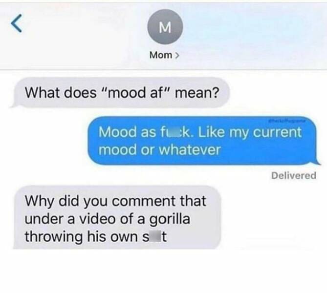hilarious text messages. What does "mood af" mean?