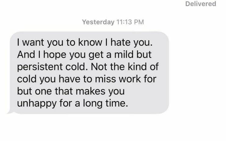 hilarious text messages. I want you to know I hate you. And I hope you get a mild but persistent cold. Not the kind of cold you have to miss work for but one that makes you unhappy for a long time.