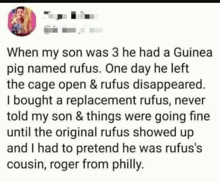 When my son was 3 he had a Guinea pig named rufus. One day he left the cage open & rufus disappeared. I bought a replacement rufus, never told my son & things were going fine until the original rufus showed up and I had to pretend he was rufus's cousin, roger from philly.